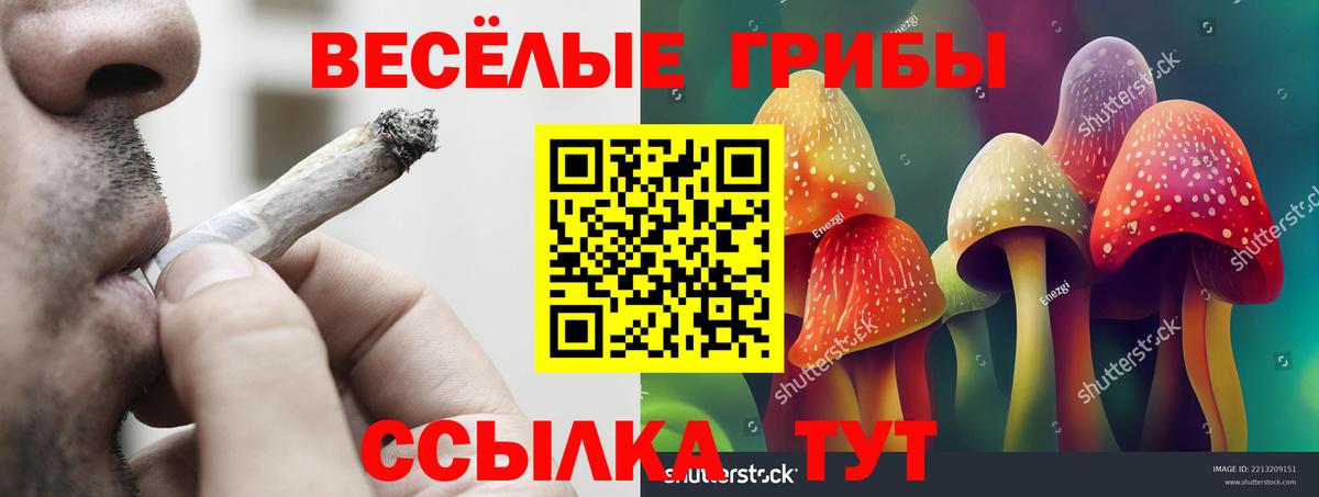 купить   Вход с VPN  Бор  Псилоцибиновые грибы MAGIC MUSHROOMS  Галлюциногенные грибы ЛСД 